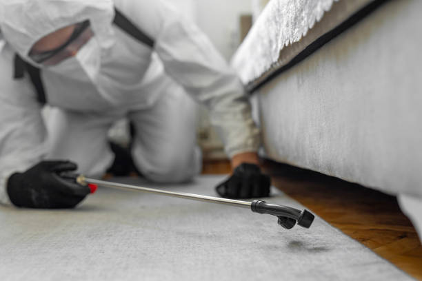 Professional Bed Bug Control technician working in Cape May, NJ
