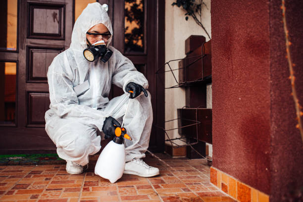 Reliable Bed Bug Control contractor in Cape May, NJ by Nex Pest Control
