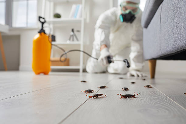 Trusted Bed Bug Control service in Cape May, NJ - Nex Pest Control